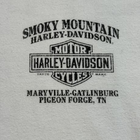 HARLEY DAVIDSON "THE DRAGON" LS FITS LIKE X-LARGE 2273