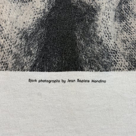BJORK "DEBUT" SCREENSTARS LARGE 2539