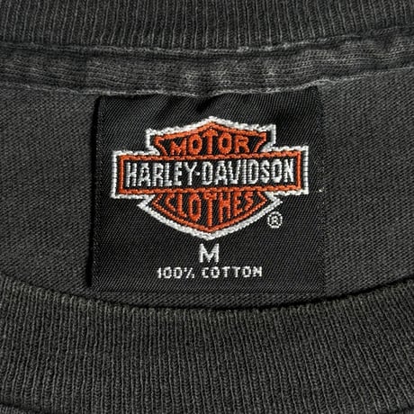 HARLEY DAVIDSON "BLUE FLAME, EAGLE" HARLEYTAG MEDIUM 1200