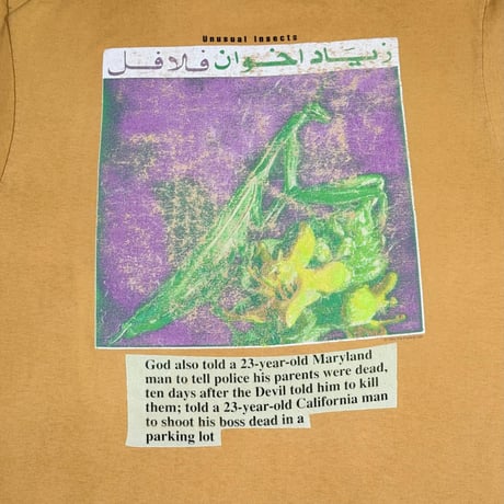 THE FLAMING LIPS "UNUSUAL INSECTS" ANVIL X-LARGE 245