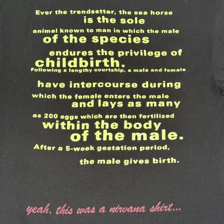 NIRVANA "SEAHORSE" HANES X-LARGE 909