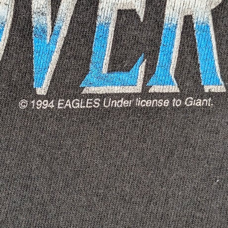 EAGLES "HELL FREEZES OVER" GIANT BY ANVIL LARGE 682