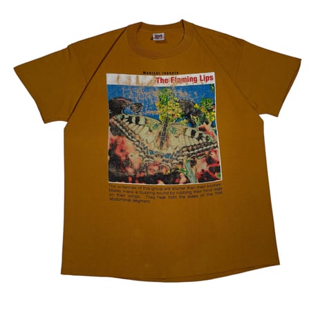 THE FLAMING LIPS "UNUSUAL INSECTS" ANVIL X-LARGE 245