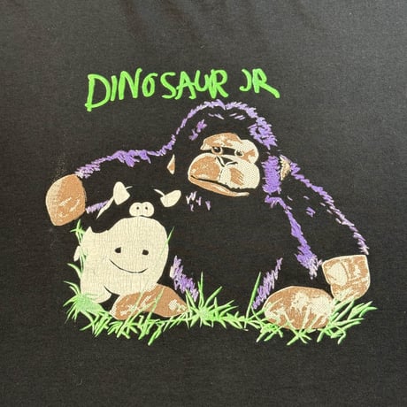 DINOSAUR JR "THE WAGON" SALEM X-LARGE 2511