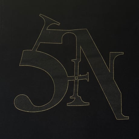 Nine Inch Nails 【SIN LOGO】All Sport LARGE ナインインチネイルズ 1213