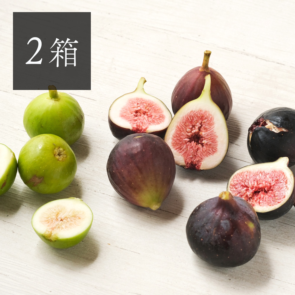 希少品種】【2箱おまとめ】 農園直送 『採れたて完熟いちじく』 12個