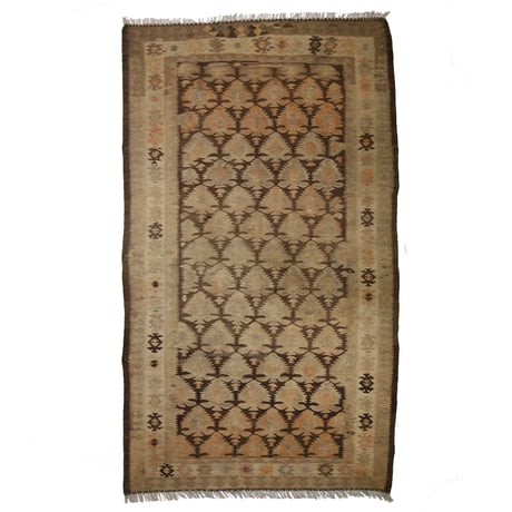 Qazvin Kilim / 190x110cm/ No.19044