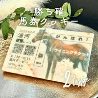 【AERUコラボ】ウイニングチケット ～勝ち確馬券クッキー～【限定予約販売】