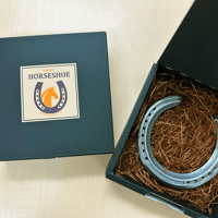 FUCHU LUCKY HORSESHOE（蹄鉄）
