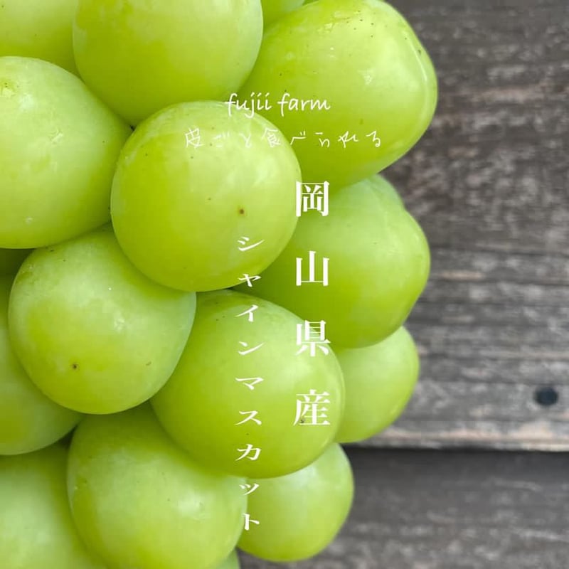 岡山県産 シャインマスカット | fujii farm