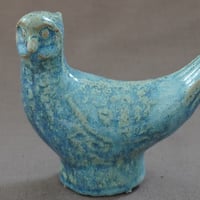 Pheasant