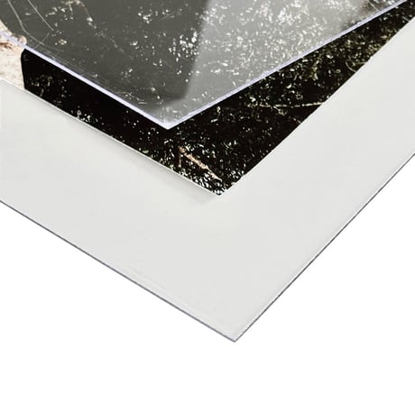 poster-03189　BRANCH on  Silver Frame Art Poster 50×40cm