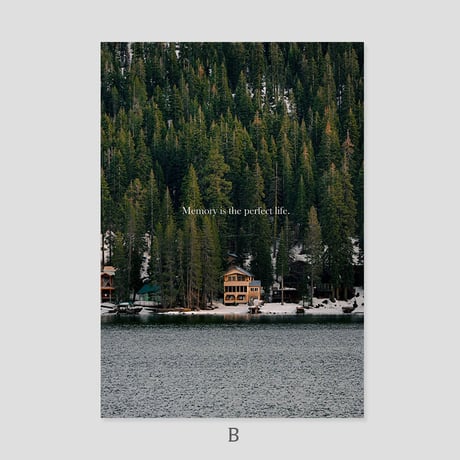 poster-03105　Deep In The Woods Silver Frame Art Poster 50×40