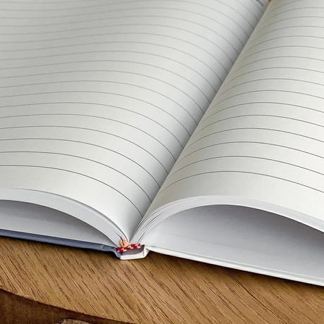 book-03009　BLUE Magazine Hard Book Notebook