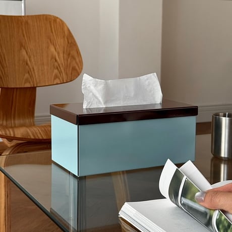 tissuebox-03094　Bicolor Steel Tissue Case