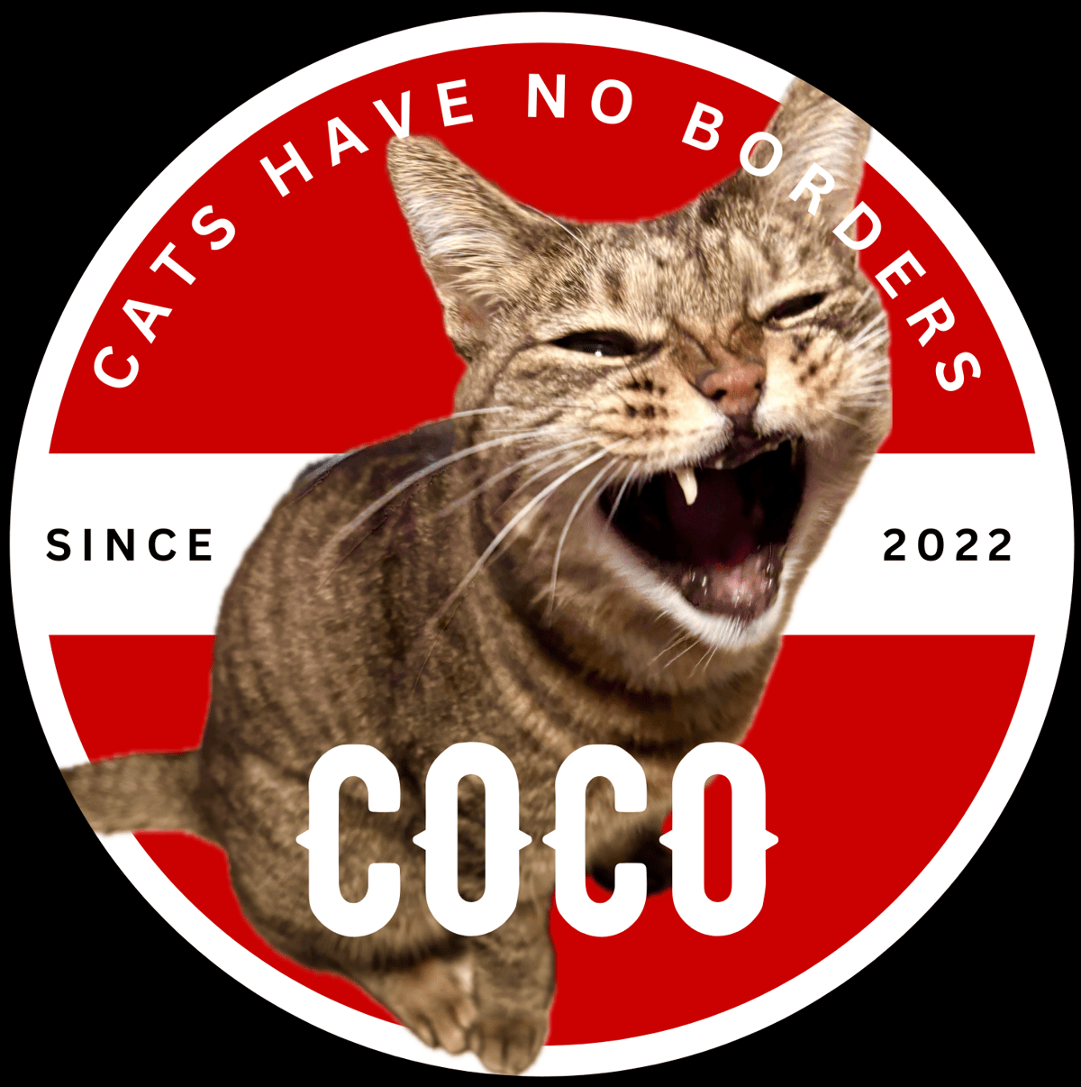 ココちゃんTシャツ2025（黒）ワンポイント | ココちゃんショップ