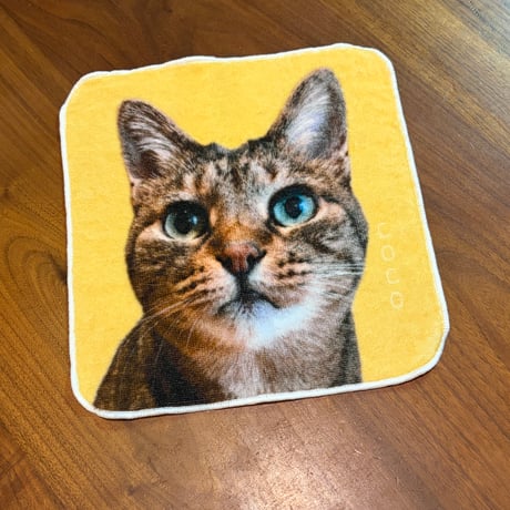 ココちゃんショップ