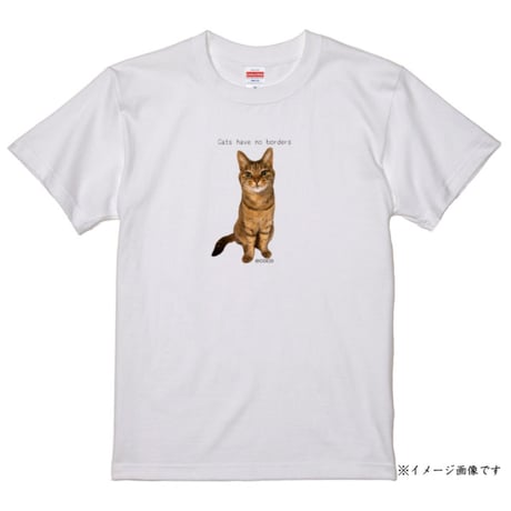 ココちゃんショップ