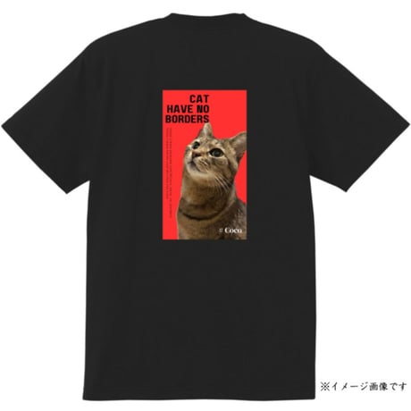 ココちゃんショップ