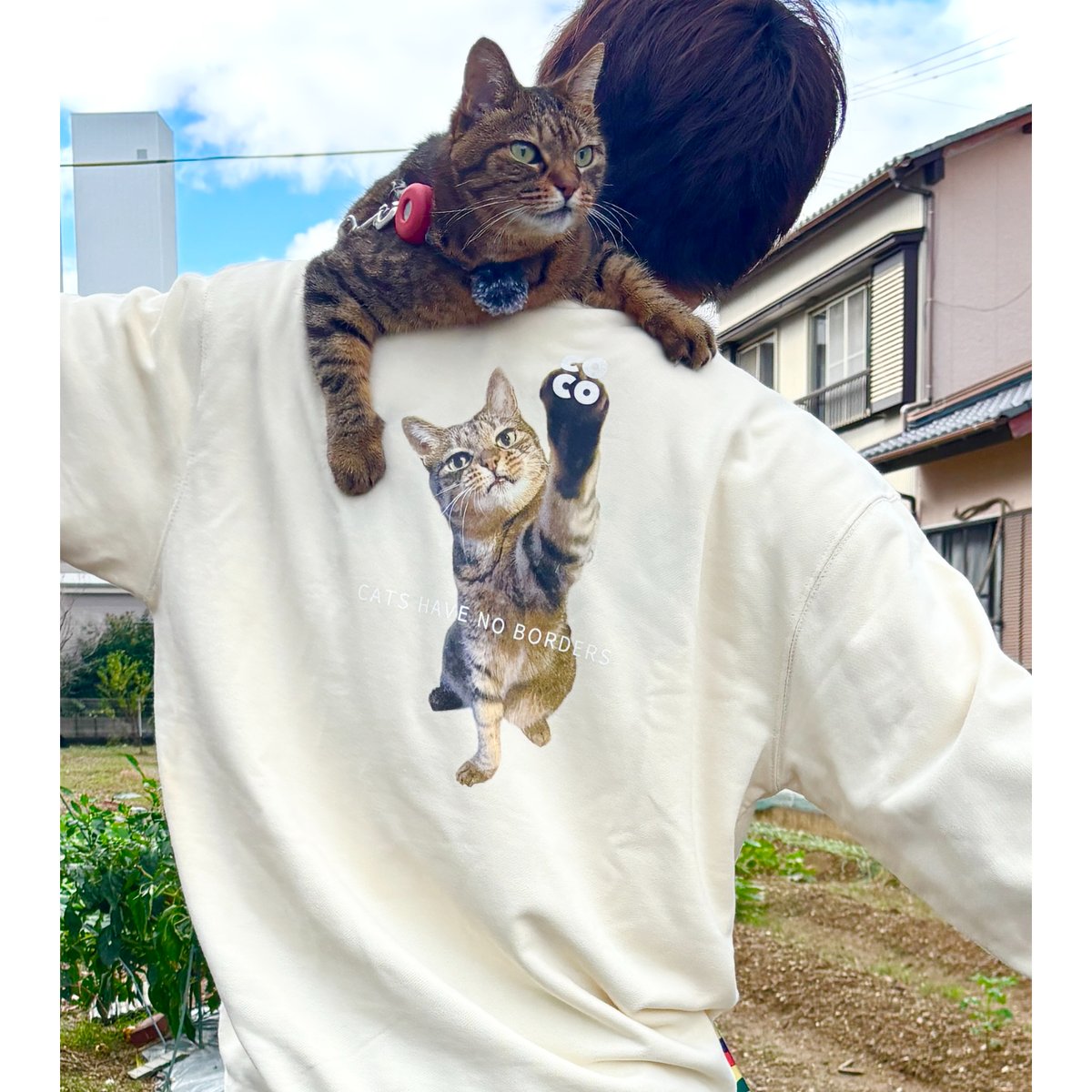 ココちゃん ココちゃんトレーナー2025（10.0オンス） | ココちゃんショップ