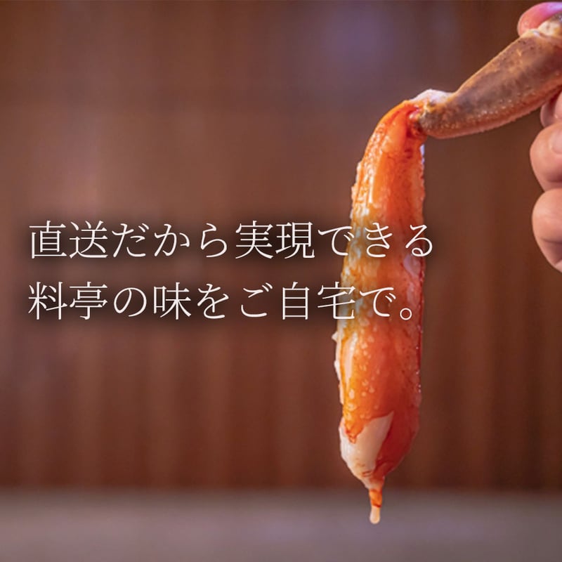 北海道産 生オオズワイガニ 10杯【漁師直送・ギフト・ご家庭用