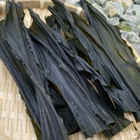 日高昆布 | STORES