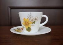 JAJPYREX　AutumnGlory　カップ＆ソーサー
