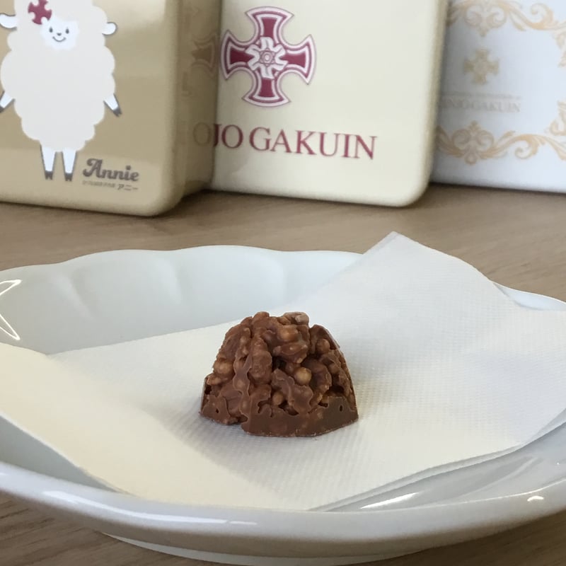 NEW】オリジナルお菓子缶（チョコクランチ8個入） | KINJO GAKUIN Onlin