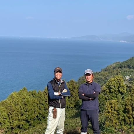 【販売終了】愛媛県産　愛果28号 5㎏ 12月発送【株式会社ふたみファーム】