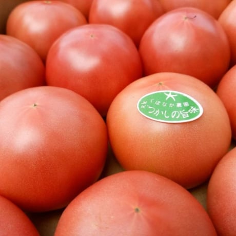 くぼなか農園のトマト　4kg　【くぼなか農園株式会社】