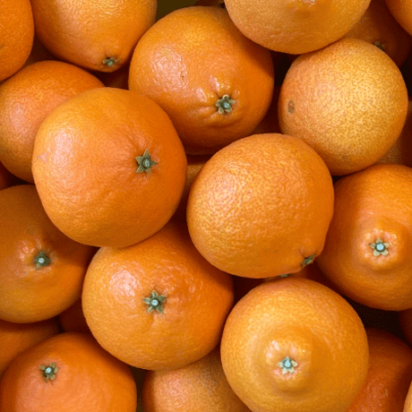 SALE | ハコブネマルシェ