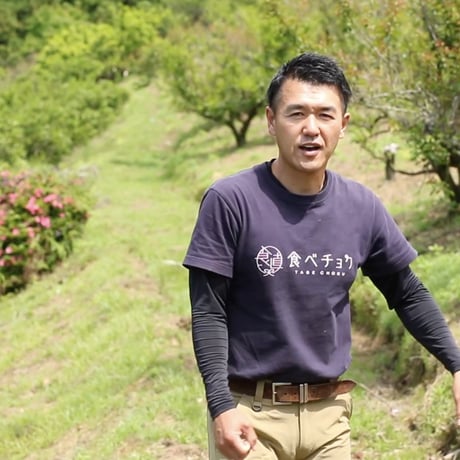 【愛媛県産みかん使用】有機のみかんじゅーす　720ml×1本　【株式会社電子食品流通研究所】