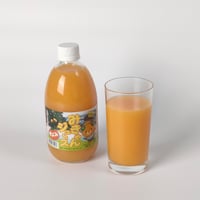 【愛媛県産みかん使用】みきゃんジュース　500ml×12本（清見）　【株式会社IAB】
