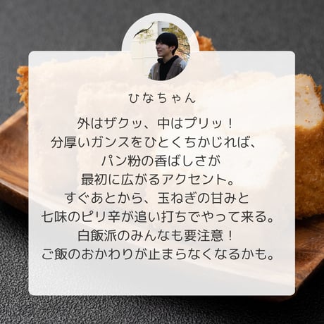 ガンス 5袋(1袋2個入り)【からき天ぷら店】