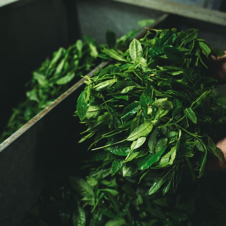 SHINGOODTEA かんきつ紅茶(SPICY)ティーバッグ 3袋【脇製茶場】