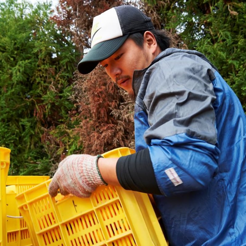 愛媛県産みかん使用】柑橘3種類詰め合わせジュース 180ml×3本 【濱田