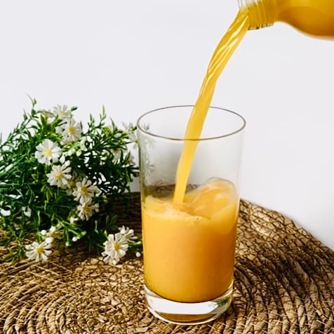 みきゃんジュース 500ml×12本（清見） 【株式会社IAB