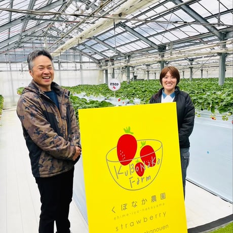 【販売終了】愛媛県産いちご2品種食べ比べセット 約500g(約250g×2パック)　【くぼなか農園株式会社】