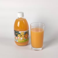 【愛媛県産みかん使用】みきゃんジュース　500ml×12本（温州）　【株式会社IAB】