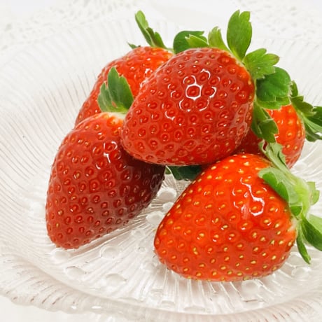 【販売終了】愛媛県産いちご2品種食べ比べセット 約500g(約250g×2パック)　【くぼなか農園株式会社】