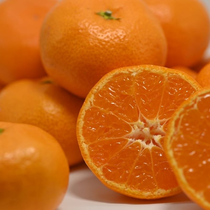 愛媛県産】 温州みかん（南柑20号）訳あり品 10kg（12月初旬より順次