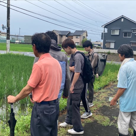 【愛媛県産】黒米 200g~1kg【虹の夢っこふぁーむ】