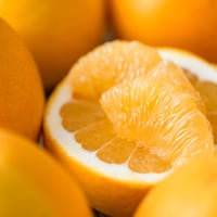 河内晩柑　訳あり品　7.5kg　【株式会社玉津柑橘倶楽部】