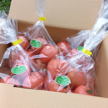 くぼなか農園のトマト　2kg　【くぼなか農園株式会社】