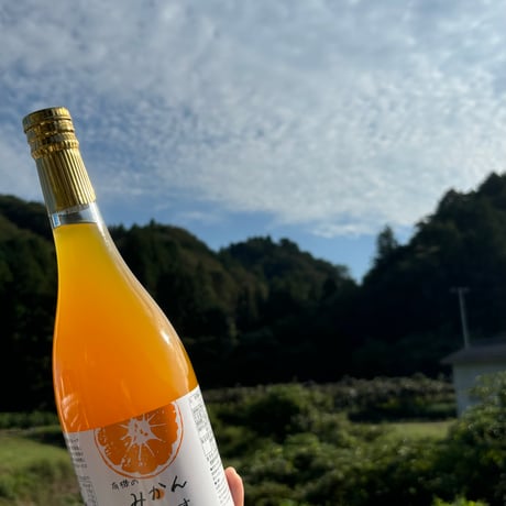 【愛媛県産みかん使用】有機のみかんじゅーす　720ml×1本　【株式会社電子食品流通研究所】