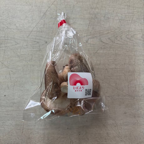 【愛媛県産】菌床しいたけ500g・ステーキ用500g【ひだまり就労支援】