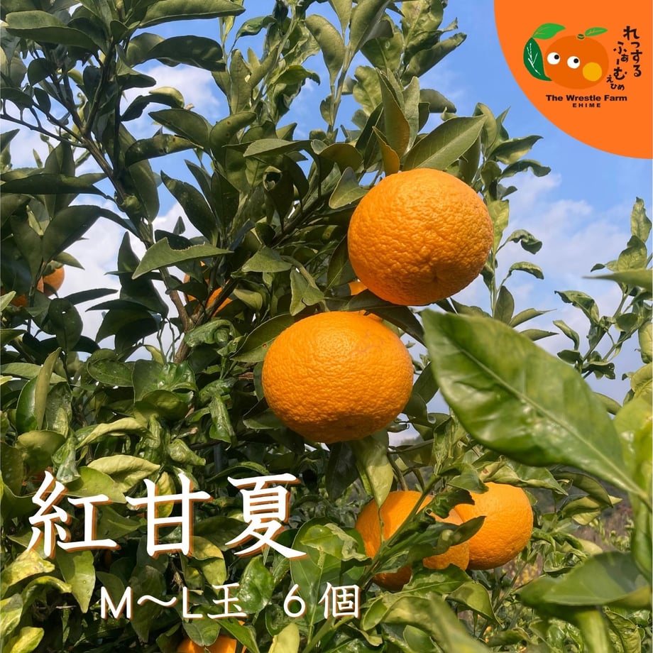 69d710159a02859cdaee5e63