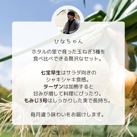 【販売終了】（先行予約・送料込）玉ねぎ定期便　　4kg×3回【いよくぼのファーム】
