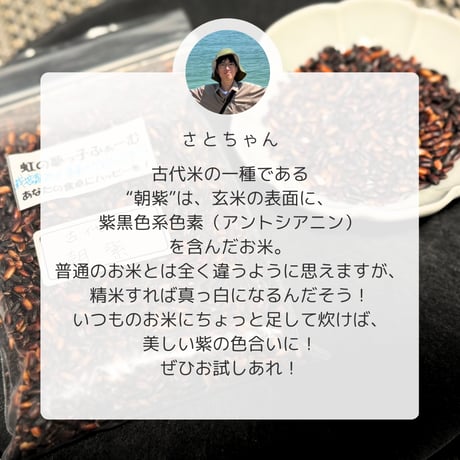 【愛媛県産】黒米 200g~1kg【虹の夢っこふぁーむ】