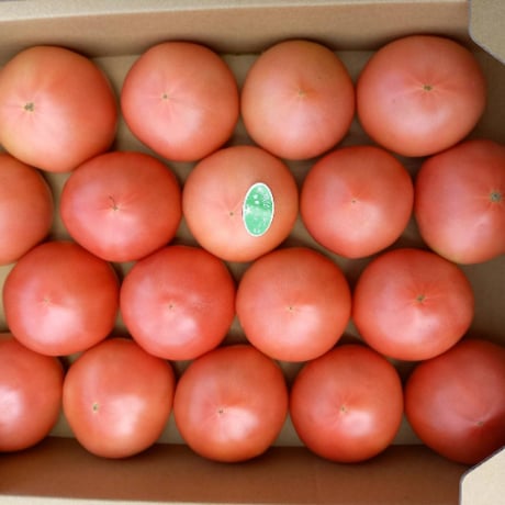 くぼなか農園のトマト　4kg　【くぼなか農園株式会社】